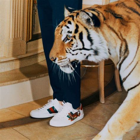 gucci men's tiger shoes|gucci tiger collection.